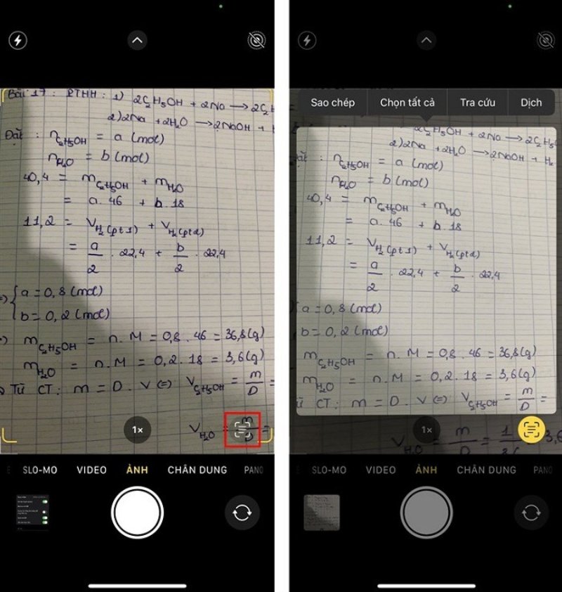Cách sử dụng tính năng Live Text trên iPhone