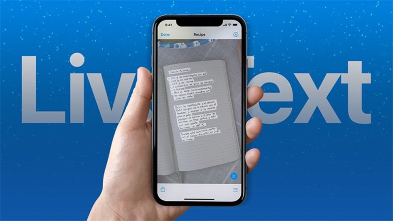 Cách sử dụng tính năng Live Text trên iPhone